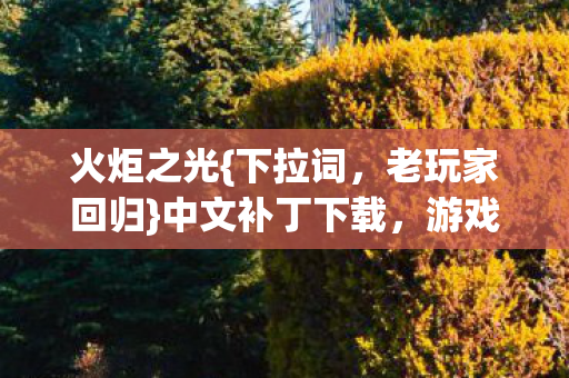 中文补丁下载图片