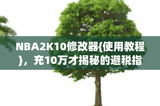 充10万才揭秘的避税指南图片