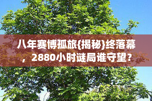 2880小时谜局谁守望图片