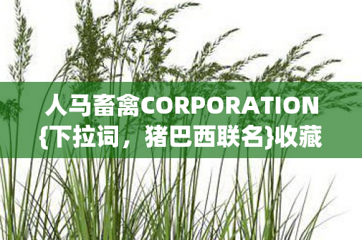 人马畜禽CORPORATION图片
