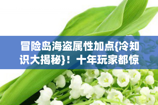 冒险岛海盗属性加点图片