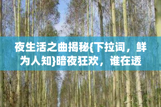 夜生活之曲揭秘图片