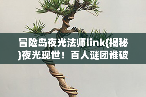冒险岛夜光法师link图片