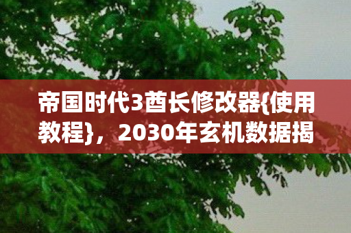 帝国时代3酋长修改器{使用教程},2030年玄机数据揭秘 帝国时代3酋长修改器{使用教程},2030年玄机数据揭秘