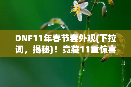 DNF11年春节套外观图片