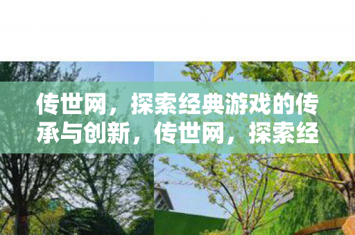 探索经典游戏的传承与创新之路图片