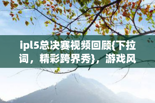 ipl5总决赛视频回顾图片