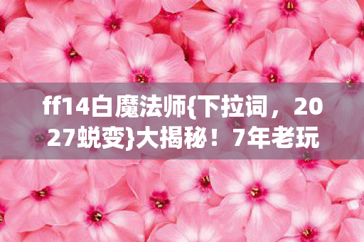 7年老玩家带你前瞻图片