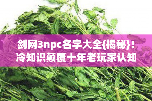剑网3npc名字大全{揭秘}!冷知识颠覆十年老玩家认知 剑网3npc名字大全{揭秘}!冷知识颠覆十年老玩家认知