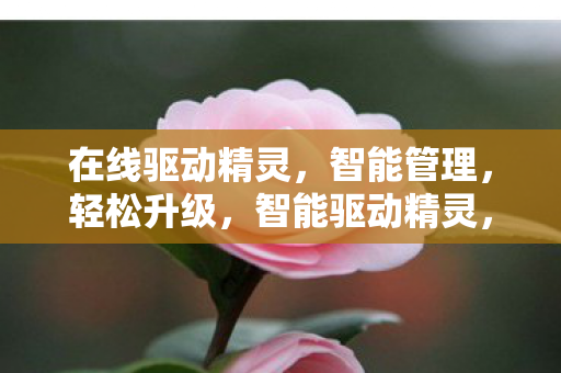 在线驱动精灵图片