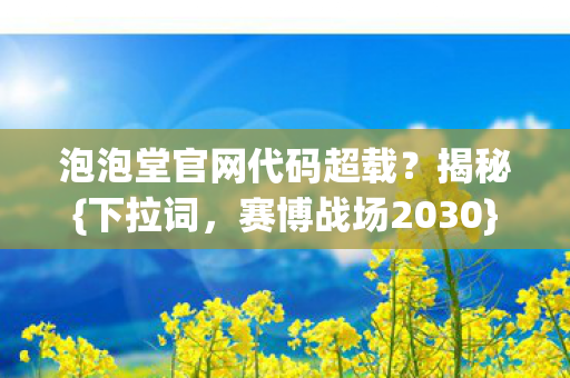 泡泡堂官网代码超载图片