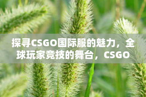 探寻CSGO国际服的魅力图片