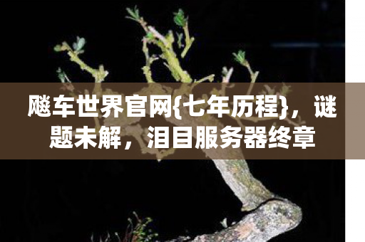 泪目服务器终章图片