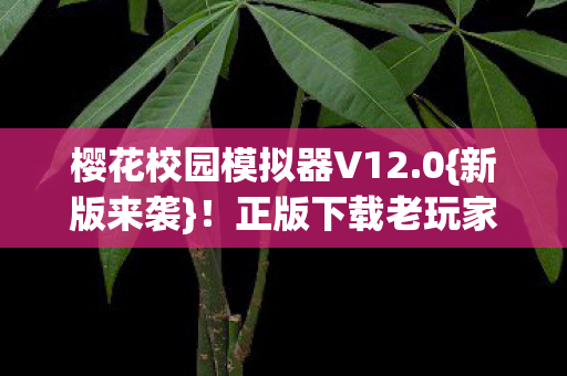樱花校园模拟器V12.0{新版来袭}！正版下载老玩家惊叹
