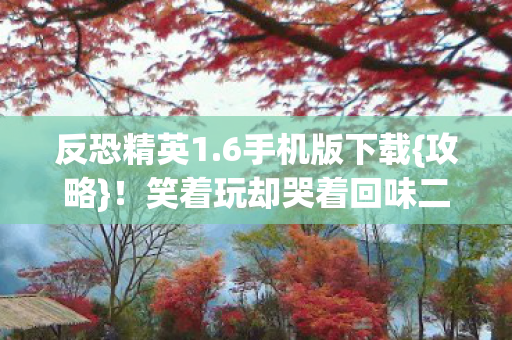 笑着玩却哭着回味二十年图片