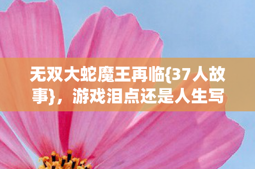 游戏泪点还是人生写照图片