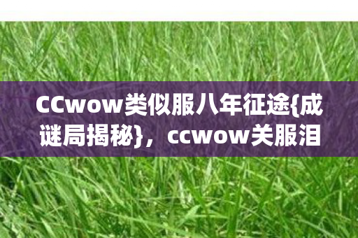 CCwow类似服八年征途图片