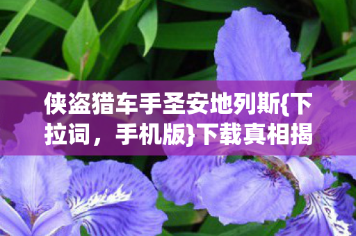 侠盗猎车手圣安地列斯图片
