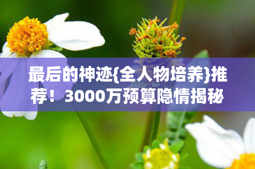 3000万预算隐情揭秘图片