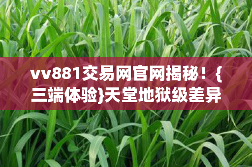 vv881交易网官网揭秘图片