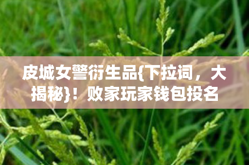 败家玩家钱包投名状图片