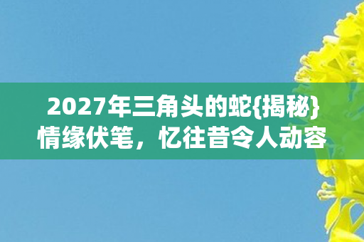2027年三角头的蛇{揭秘}情缘伏笔，忆往昔令人动容