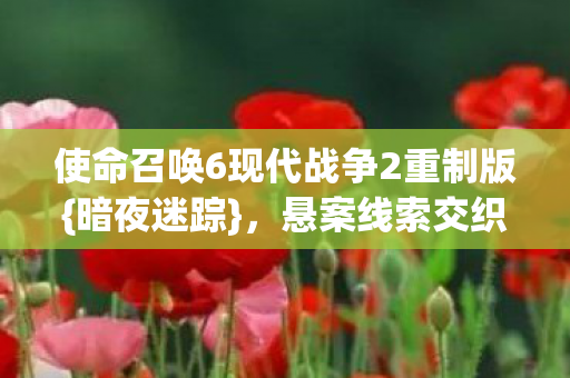 使命召唤6现代战争2重制版{暗夜迷踪}，悬案线索交织