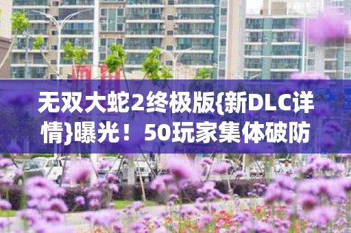 无双大蛇2终极版图片