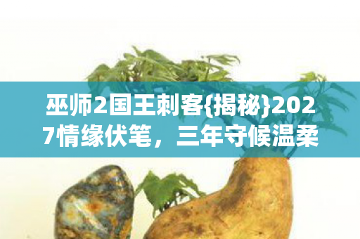 2027情缘伏笔图片