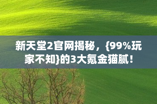 新天堂2官网揭秘图片
