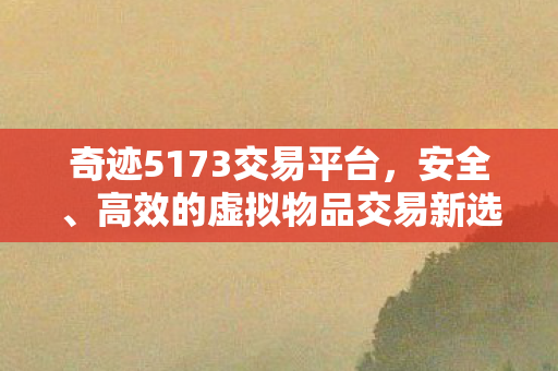 安全高效的虚拟物品交易新选择图片