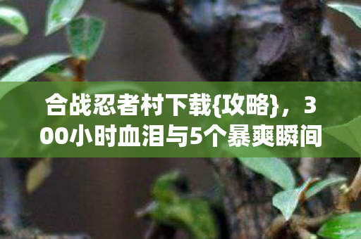 300小时血泪与5个暴爽瞬间图片