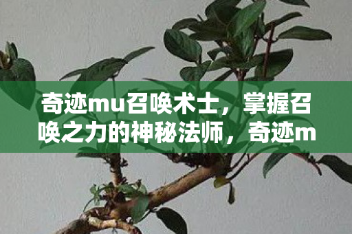 掌握召唤之力的神秘法师图片