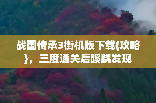 战国传承3街机版下载图片