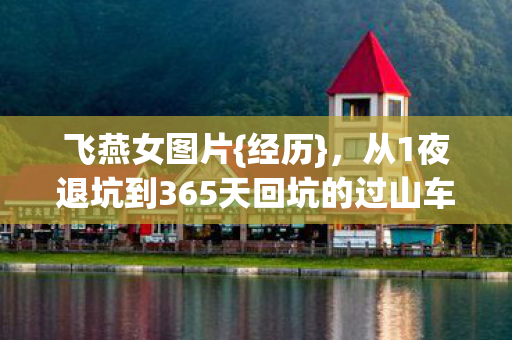 从1夜退坑到365天回坑的过山车之旅图片