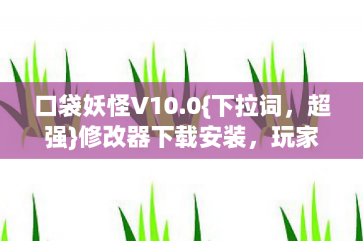 口袋妖怪V10图片
