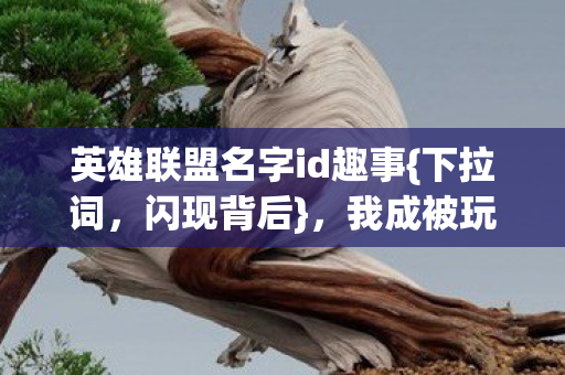 英雄联盟名字id趣事图片