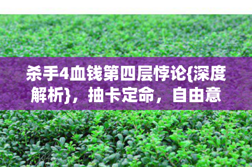 杀手4血钱第四层悖论图片