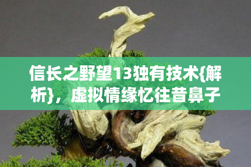 信长之野望13独有技术{解析},虚拟情缘忆往昔鼻子酸 信长之野望13独有技术{解析},虚拟情缘忆往昔鼻子酸