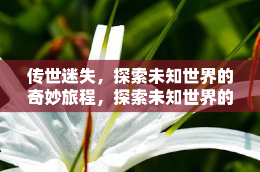 探索未知世界的奇妙旅程图片