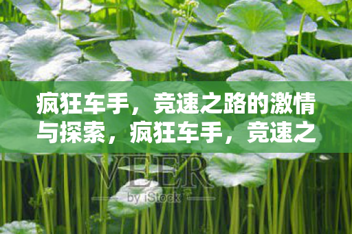 竞速之路的激情与探索之旅图片