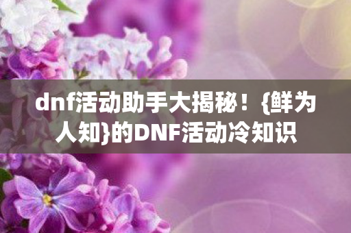 dnf活动助手大揭秘图片