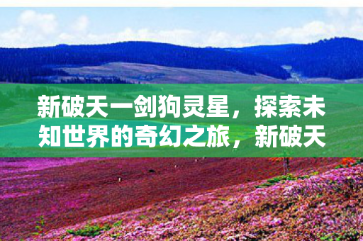 新破天一剑狗灵星,探索未知世界的奇幻之旅,新破天一剑,狗灵星奇幻探险之旅 新破天一剑狗灵星,探索未知世界的奇幻之旅,新破天一剑,狗灵星奇幻探险之旅