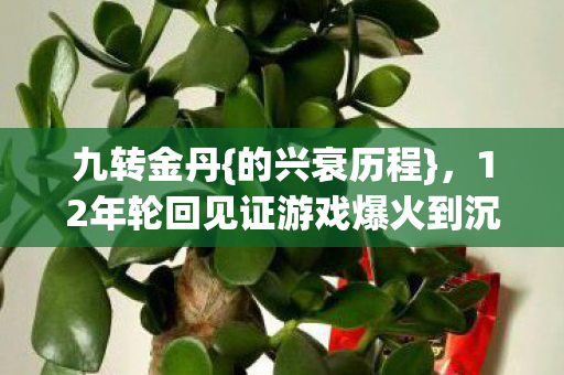 九转金丹{的兴衰历程},12年轮回见证游戏爆火到沉寂 九转金丹{的兴衰历程},12年轮回见证游戏爆火到沉寂