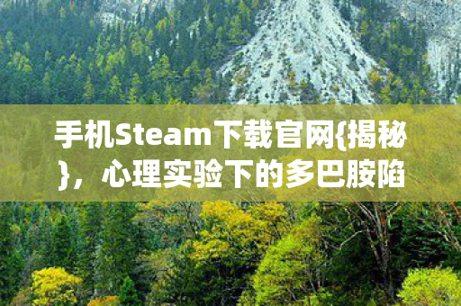 手机Steam下载官网图片