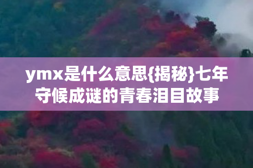 七年守候成谜的青春泪目故事图片