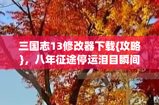 三国志13修改器下载图片