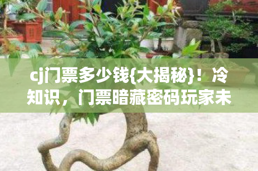 门票暗藏密码玩家未觉图片