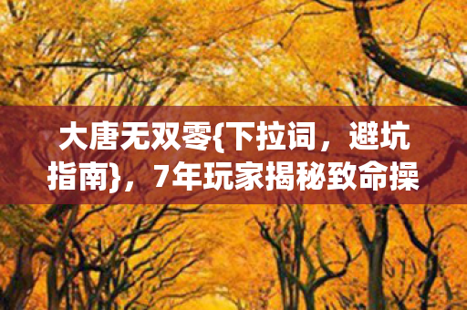 7年玩家揭秘致命操作图片