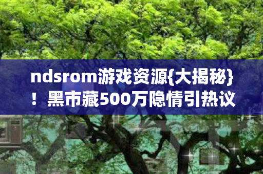 黑市藏500万隐情引热议图片